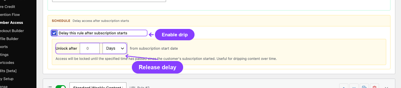 The real ArraySubs rule schedule exposes a relative unlock delay from the subscription start date.