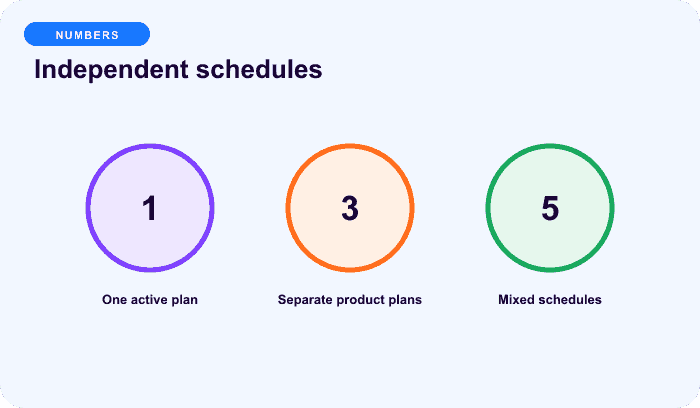 Independent schedules — an illustrative numbers for Choose the duplicate policy before checkout.